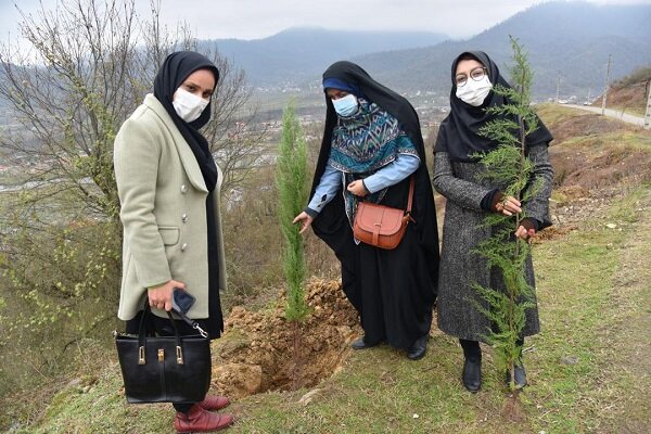 اجرای طرح بذرکاری و نهال کاری در۱۵۳۰هکتار از جنگلها ومراتع استان