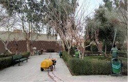 پرونده‌های گیاه پزشکی درختان کهنسال در بخش مرکزی شهر تهران تکمیل شد