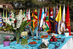 'Nowruz diplomacy' a ground for regional convergence