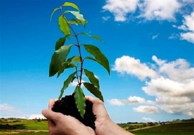 مشارکت سپاه اردبیل در پویش کاشت یک میلیارد درخت