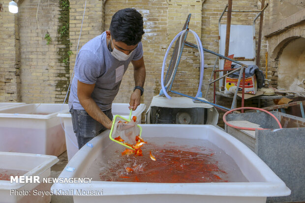 Sale of goldfish for Haftseen in Ahvaz
