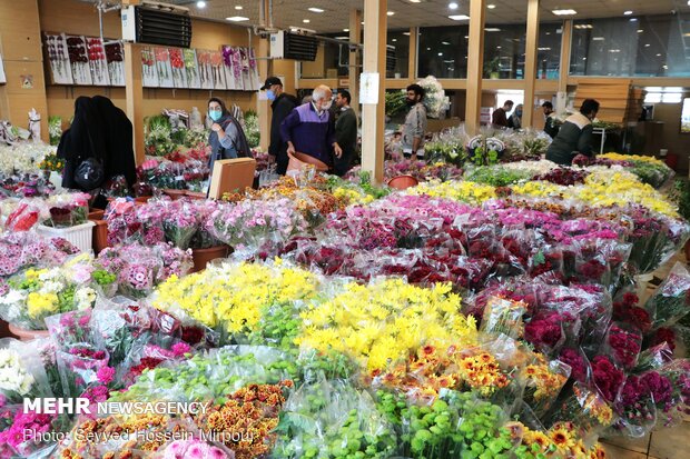 Houseplants market in Mashhad