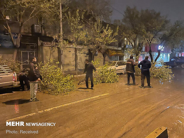 خسارات وزش باد شدید در شیراز