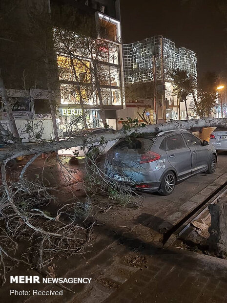 خسارات وزش باد شدید در شیراز