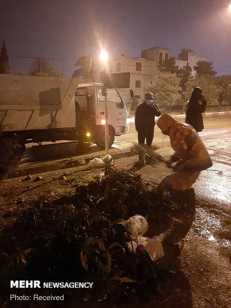 خسارات وزش باد شدید در شیراز