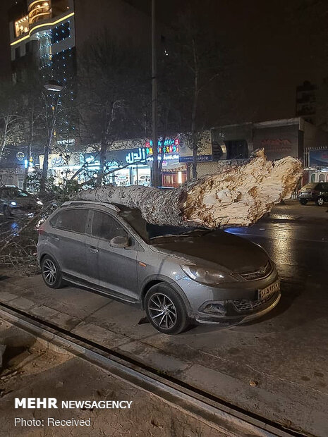 خسارات وزش باد شدید در شیراز