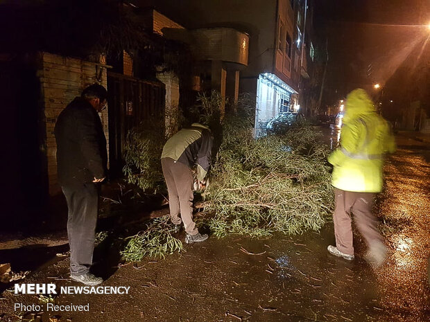 خسارات وزش باد شدید در شیراز