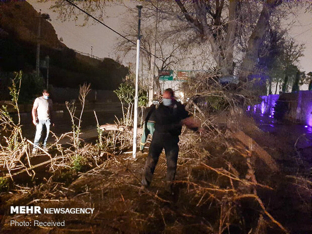 خسارات وزش باد شدید در شیراز