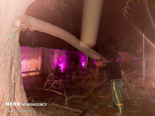 خسارات وزش باد شدید در شیراز