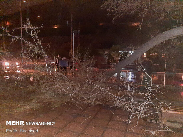 خسارات وزش باد شدید در شیراز