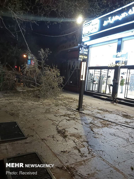 خسارات وزش باد شدید در شیراز