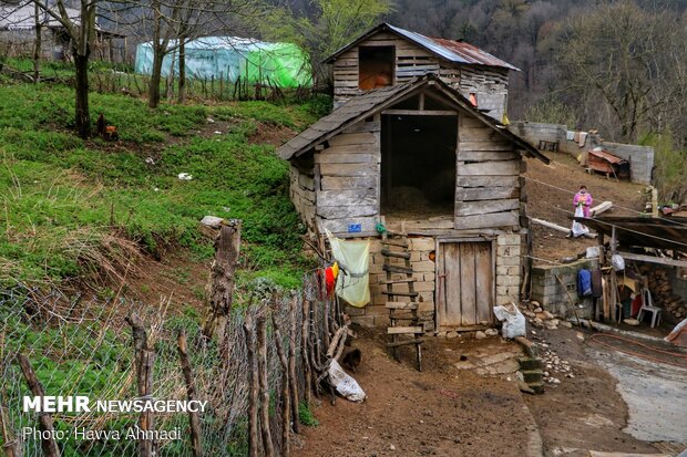 Landslide in northern village