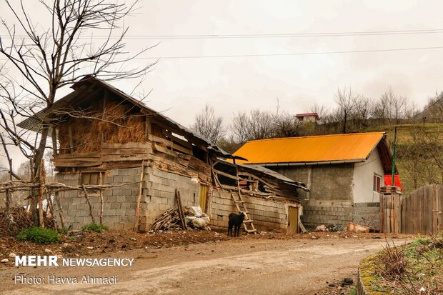 Landslide in northern village