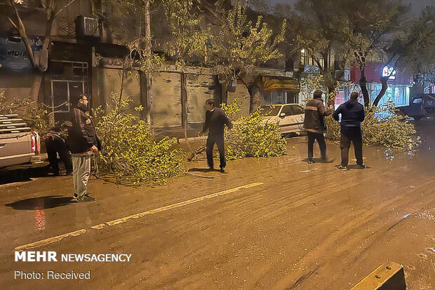 وزش باد شدید زنجان را فرا می گیرد 