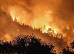 آتش نشانان ایران آتش سوزی جنگل های ارمنستان را خاموش کردند