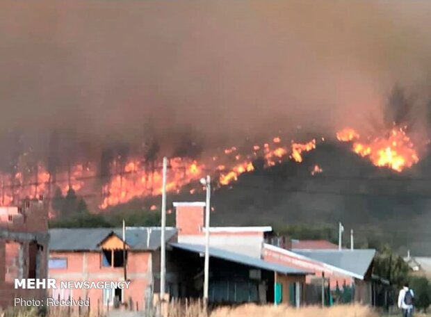 آتش سوزی در جنگل‌های آرژانتین