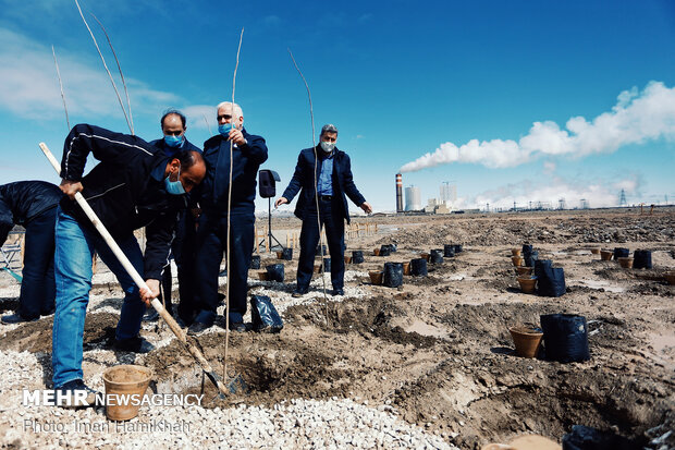 Project for planting 100,000 trees kicks off in Hamedan