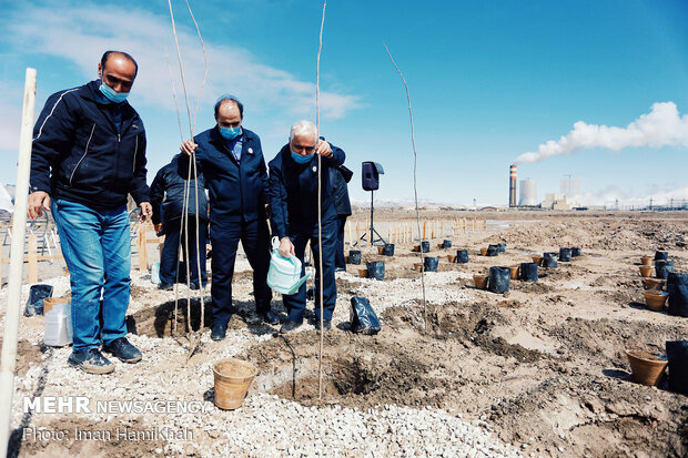 Project for planting 100,000 trees kicks off in Hamedan