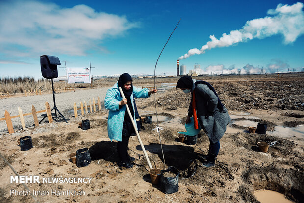 Project for planting 100,000 trees kicks off in Hamedan