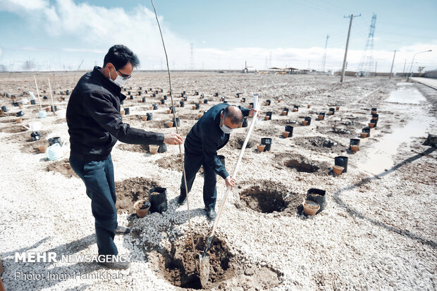 Project for planting 100,000 trees kicks off in Hamedan