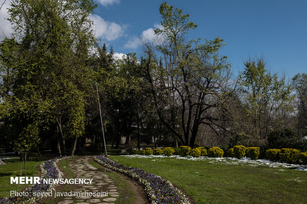 آسمان آبی رشت بعد از برف