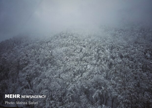 Heavy snowfall welcomes spring
