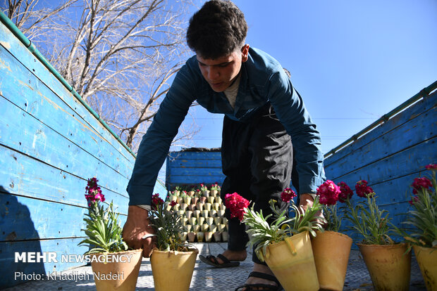 بازار گل در آستانه بهار-اصفهان