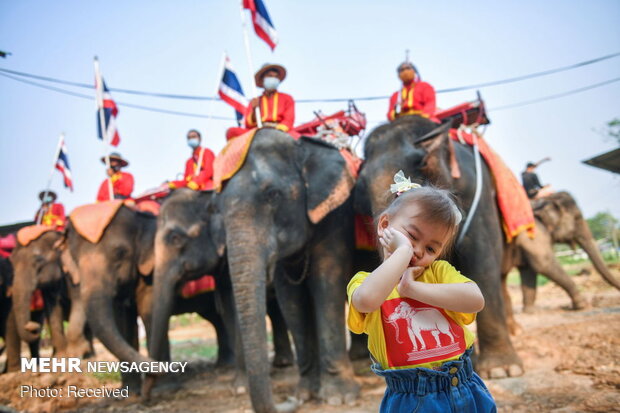 روز ملی فیل ها در تایلند