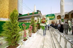 Ornamentation of Imam Ali's holy shrine on Sha'ban occasion