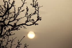 آلودگی هوا در خوزستان ۱۲۰۰ نفر را راهی بیمارستان‌ها کرد