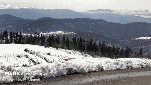 Lajim Forest in N Iran covered with snow
