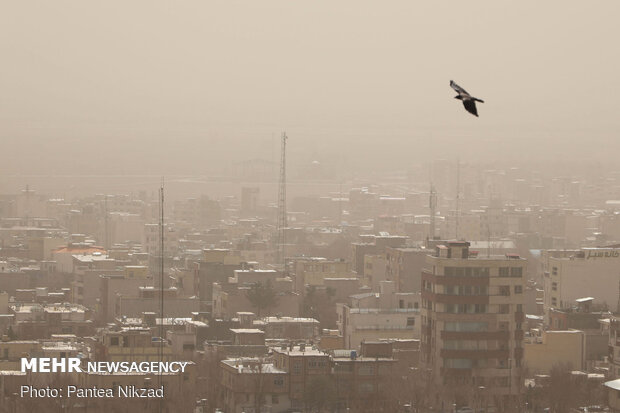 ثبت ۳۸ روز گرد و غباری در استان ایلام طی سال جاری
