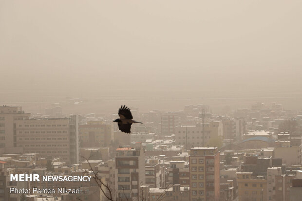 باد‬ و‬ غبار میهمان پایتخت می‌شود