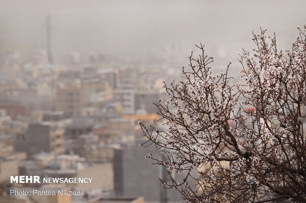 Roof of Iran trapped in dust