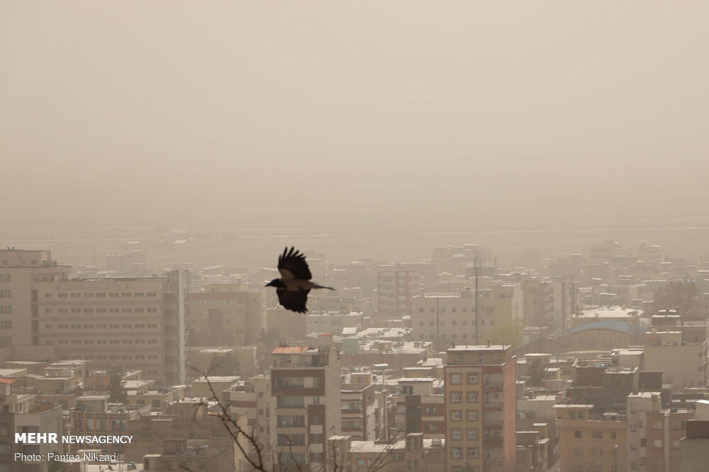 باد‬ و‬ غبار میهمان پایتخت می‌شود