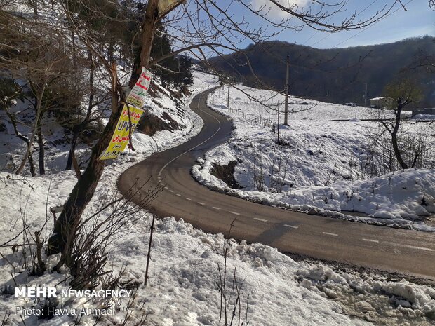 Lajim Forest in N Iran covered with snow
