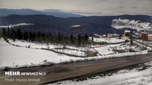 Lajim Forest in N Iran covered with snow
