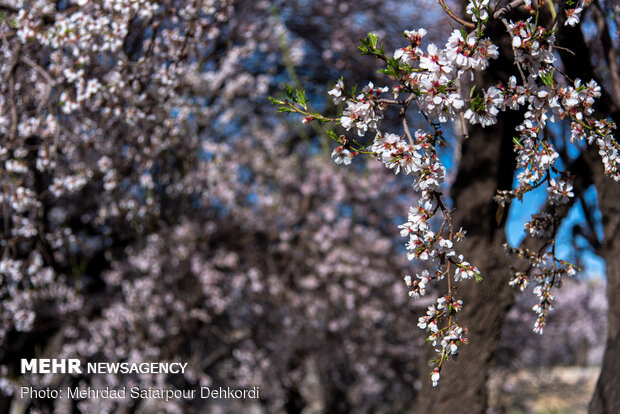 Breathtaking scenery of spring in Shahr-e Kord
