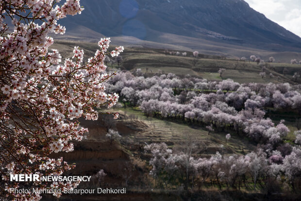 Breathtaking scenery of spring in Shahr-e Kord
