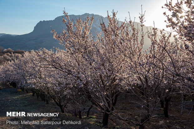 Breathtaking scenery of spring in Shahr-e Kord
