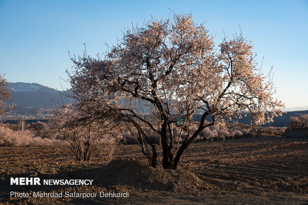 Breathtaking scenery of spring in Shahr-e Kord
