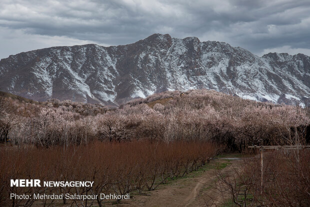 Breathtaking scenery of spring in Shahr-e Kord
