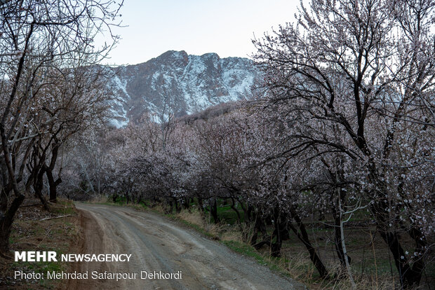 Breathtaking scenery of spring in Shahr-e Kord
