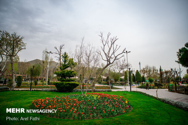 جشنواره گل پاک چمران کرج