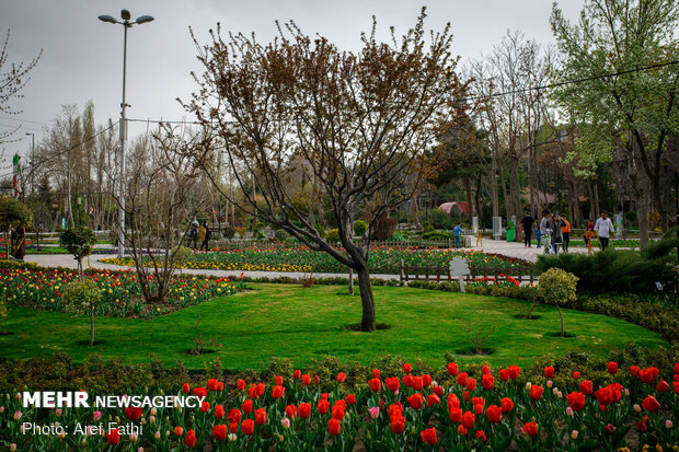 جشنواره گل پاک چمران کرج