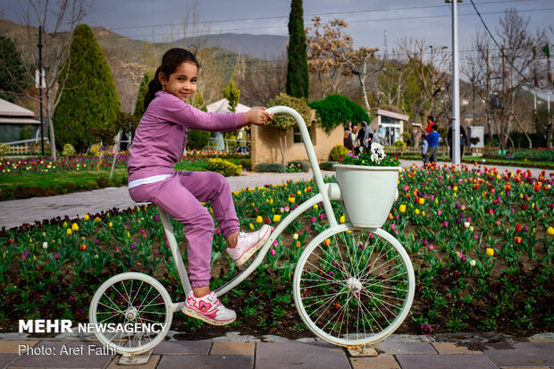 جشنواره گل پاک چمران کرج