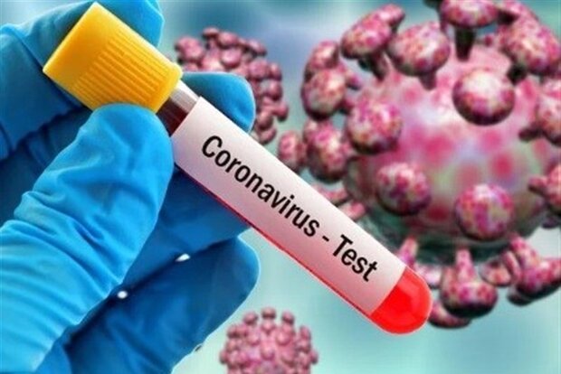 ۲۰۶ مورد جدید مبتلا به کرونا ویروس در ایلام شناسایی شد