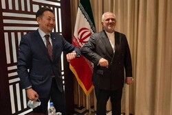 Zarif, Tacikistan'da AİGK İcra Direktörü ile görüştü