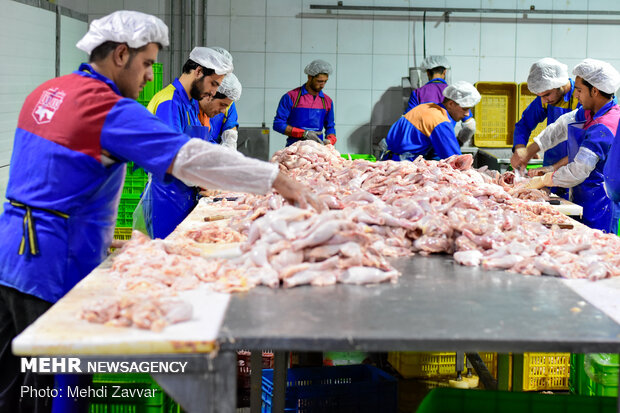 افزایش ۴۵۰۰ تومانی قیمت مصوب مرغ/ کیلویی ۲۴ هزار و ۹۰۰ تومان