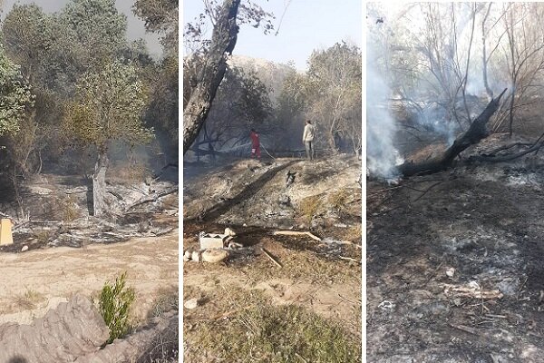 قصه تکراری در نوروز هر سال؛ جنگل گلوبردکان دچار آتش‌سوزی شد